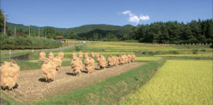束稲山麓地域