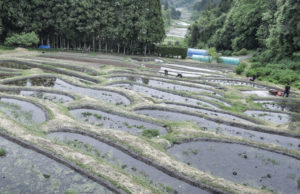 いちのせきシェア農園 PlayFarm（一関市舞川）